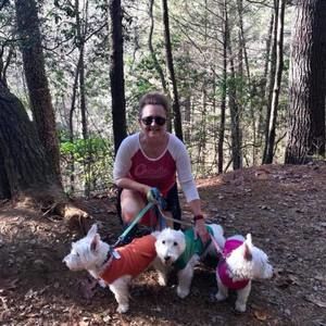 Meet your Posher, Carol